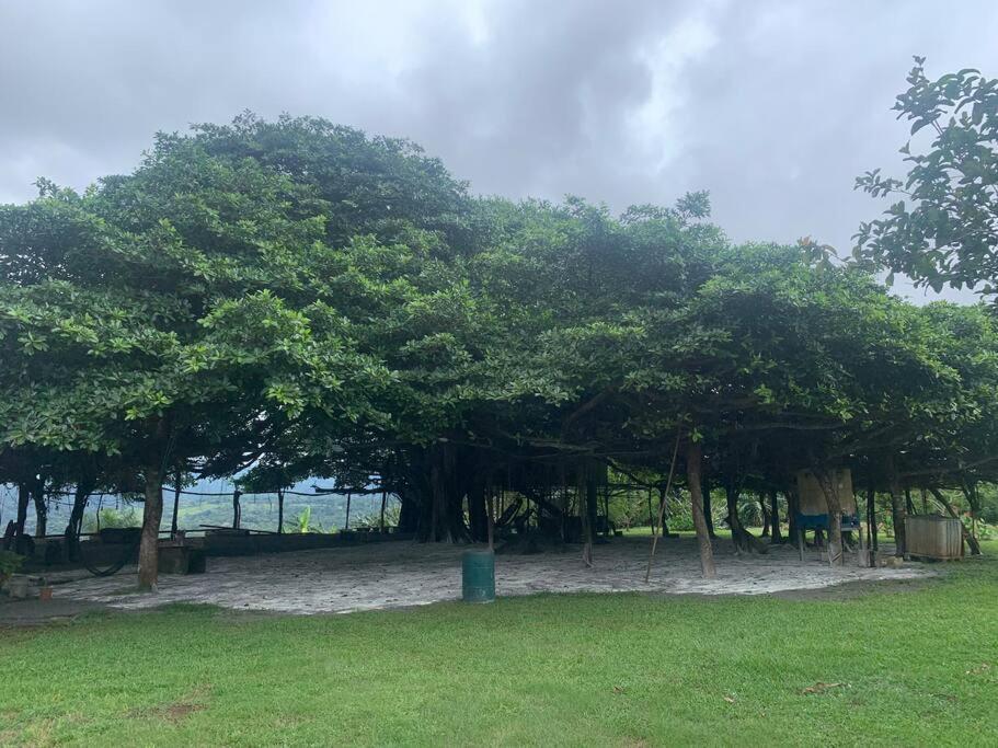 Disfruta Del Contacto Con La Naturaleza Apartment Puntarenas Luaran gambar