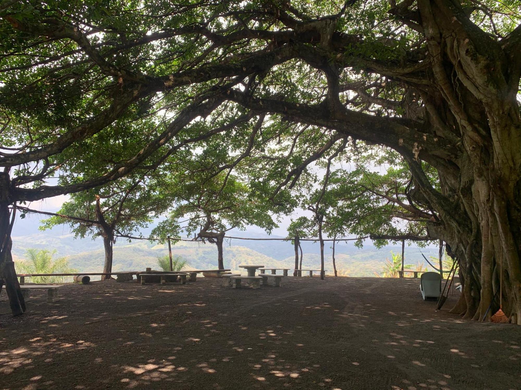 Disfruta Del Contacto Con La Naturaleza Apartment Puntarenas Luaran gambar